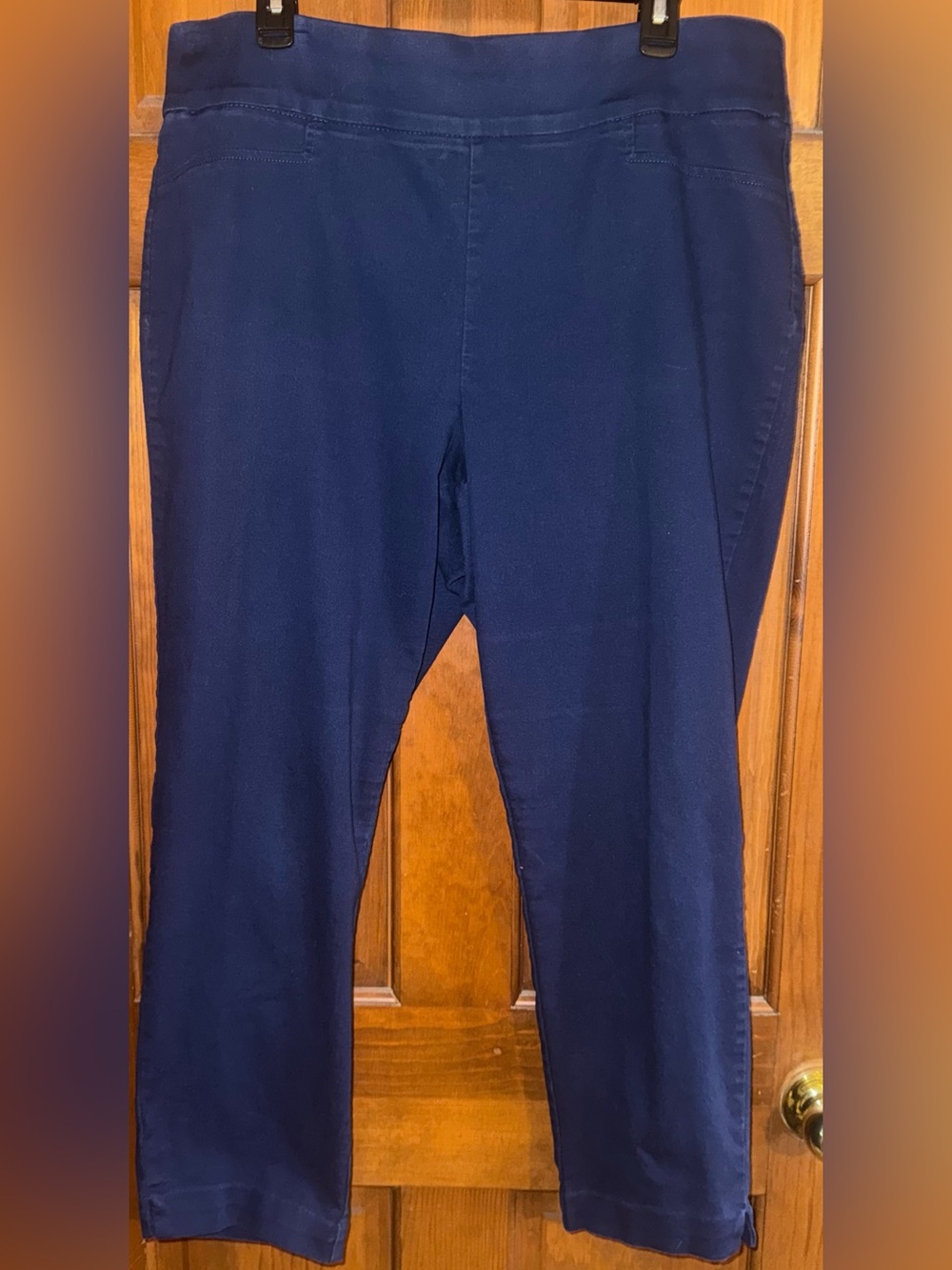Navy Cropped Pull-On Ankle Pants